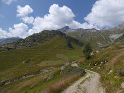 Click to see big picture (1024x768 pixels; 112 KB)