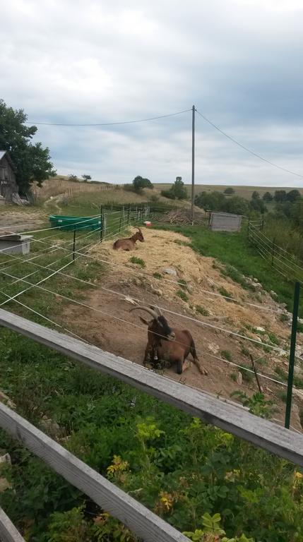 {Clic pour voir plus grand}