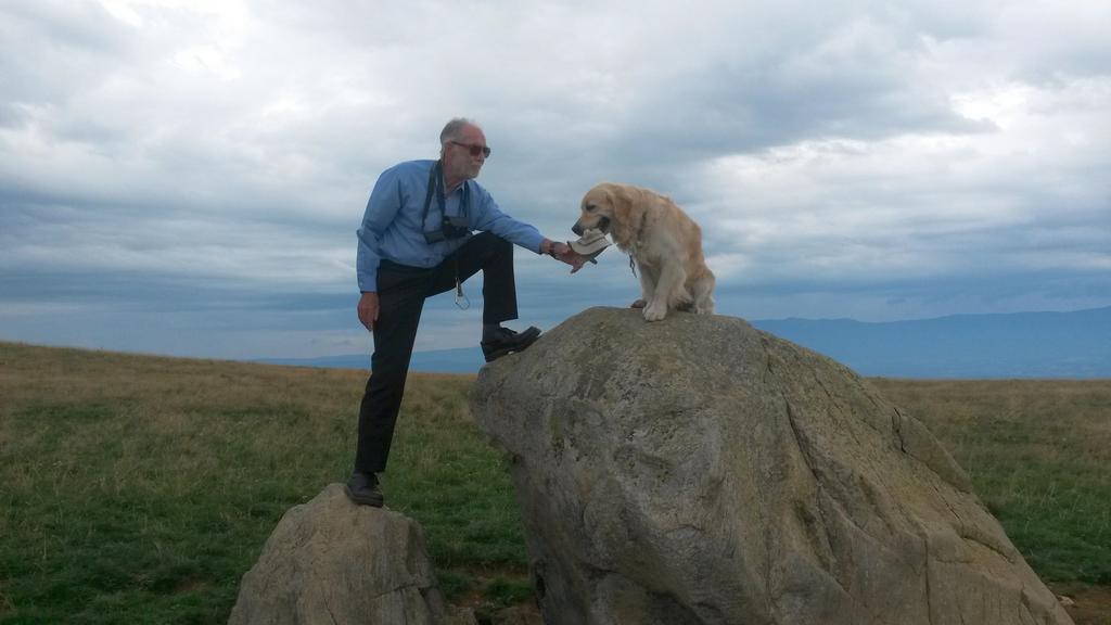 {Clic pour voir plus grand}