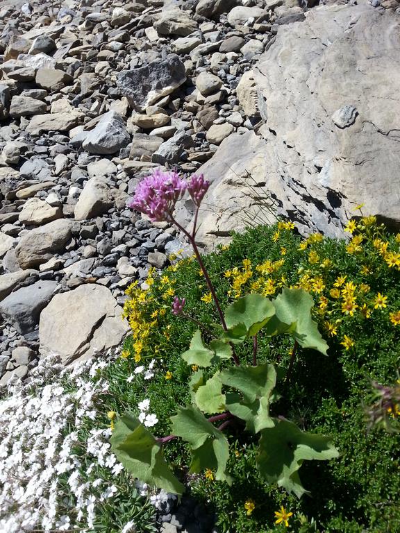 {Clic pour voir plus grand}