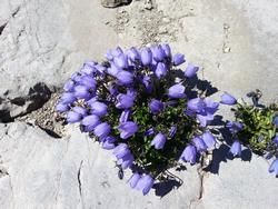 Click to see big picture (1024x768 pixels; 185 KB)