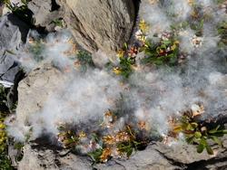 Click to see big picture (1024x768 pixels; 184 KB)