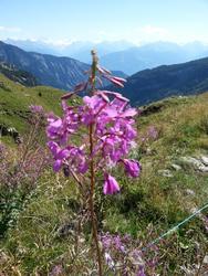 Click to see big picture (576x768 pixels; 126 KB)