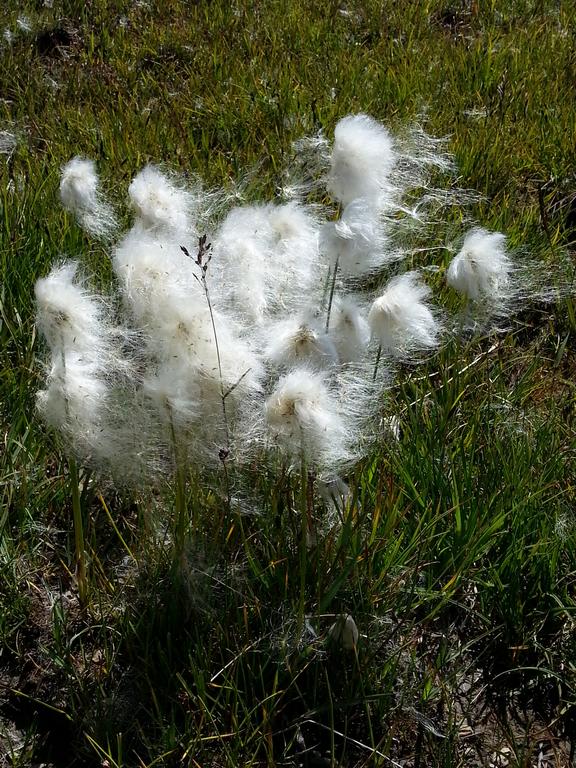 {Clic pour voir plus grand}