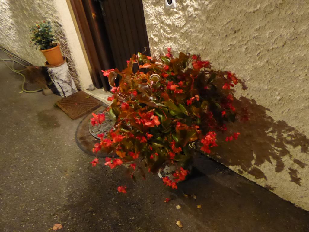 {Clic pour voir plus grand}