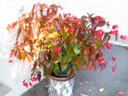 Click to see big picture (1024x768 pixels; 157 KB)