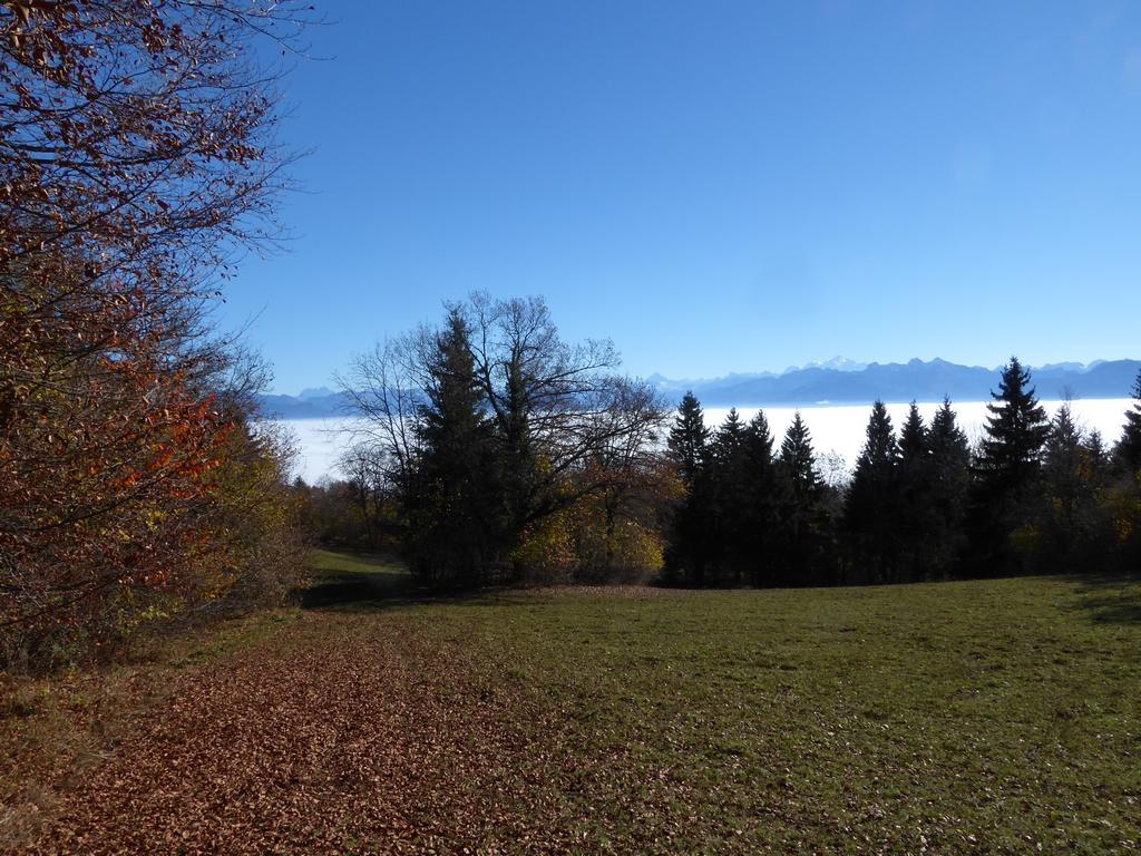 {Clic pour voir plus grand}