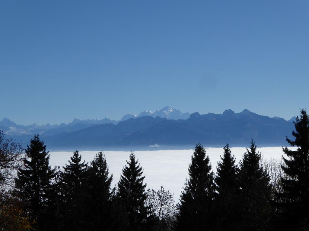 {Clic pour voir plus grand}