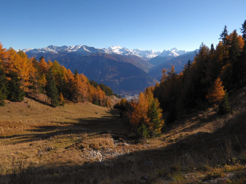 {Clic pour voir plus grand}