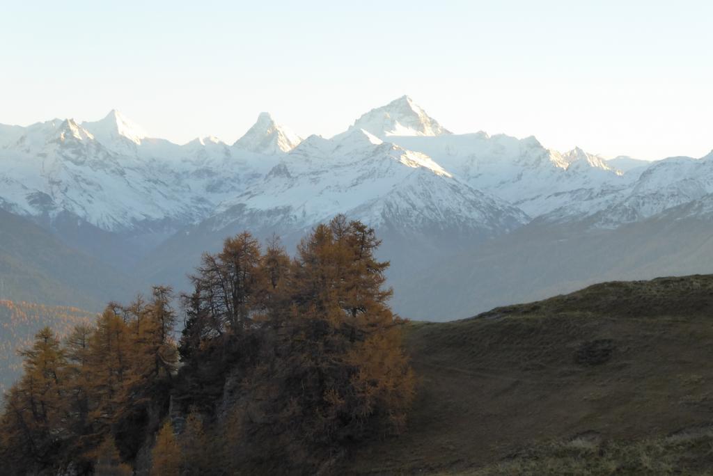 {Clic pour voir plus grand}