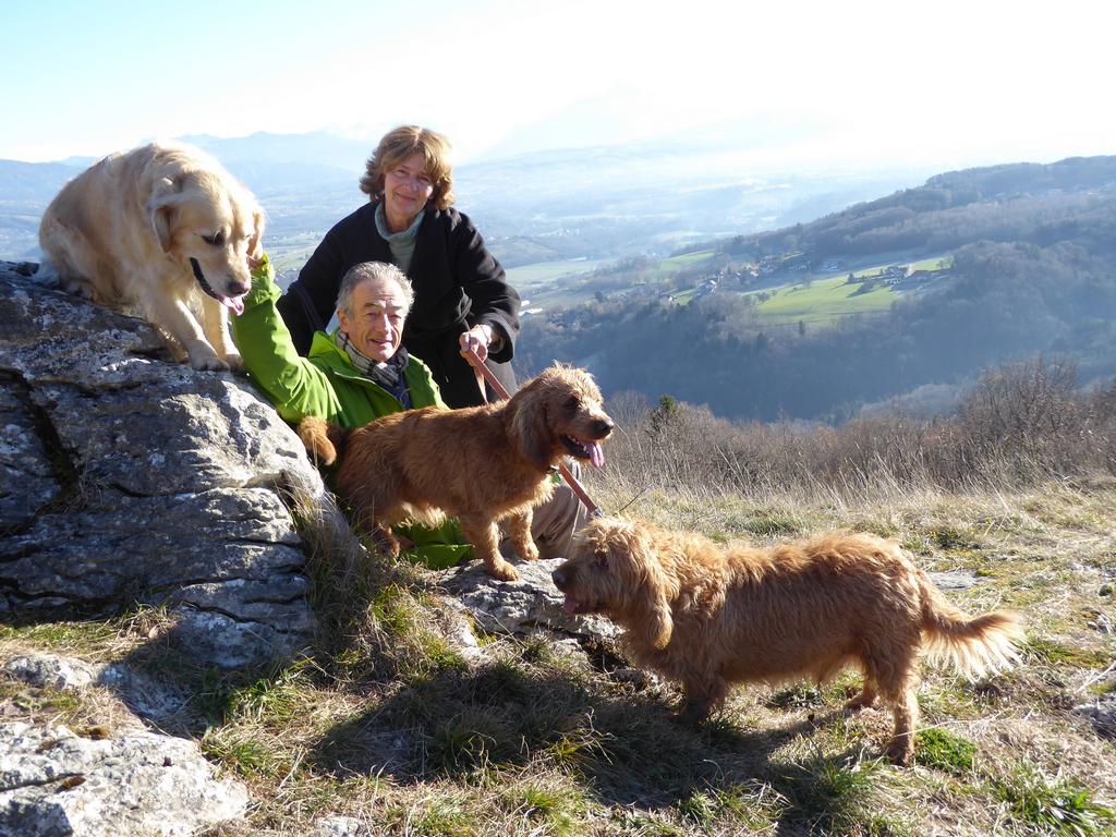 {Clic pour voir plus grand}