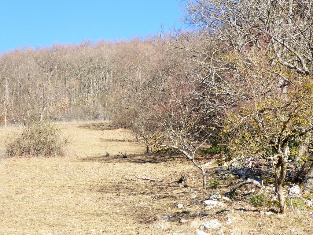 {Clic pour voir plus grand}