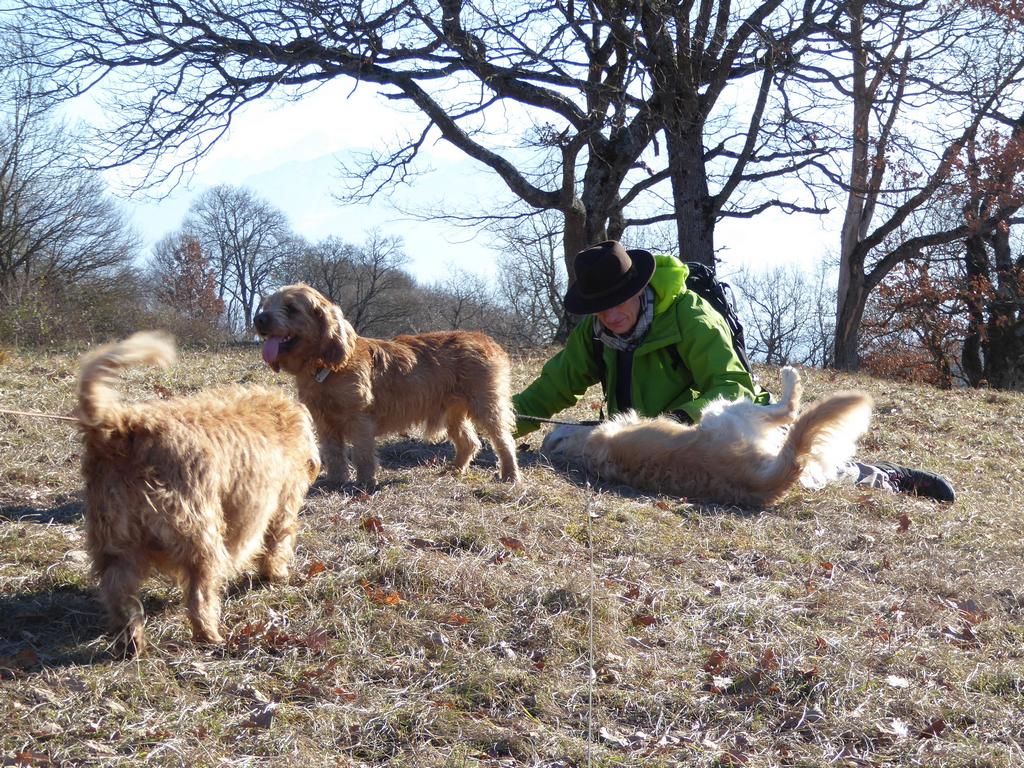 {Clic pour voir plus grand}