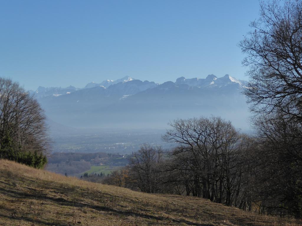 {Clic pour voir plus grand}