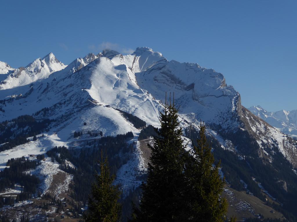 {Clic pour voir plus grand}