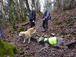 Click to see big picture (1024x768 pixels; 225 KB)