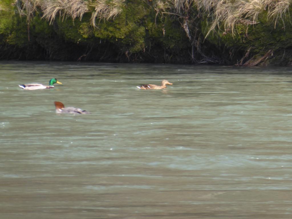 {Clic pour voir plus grand}