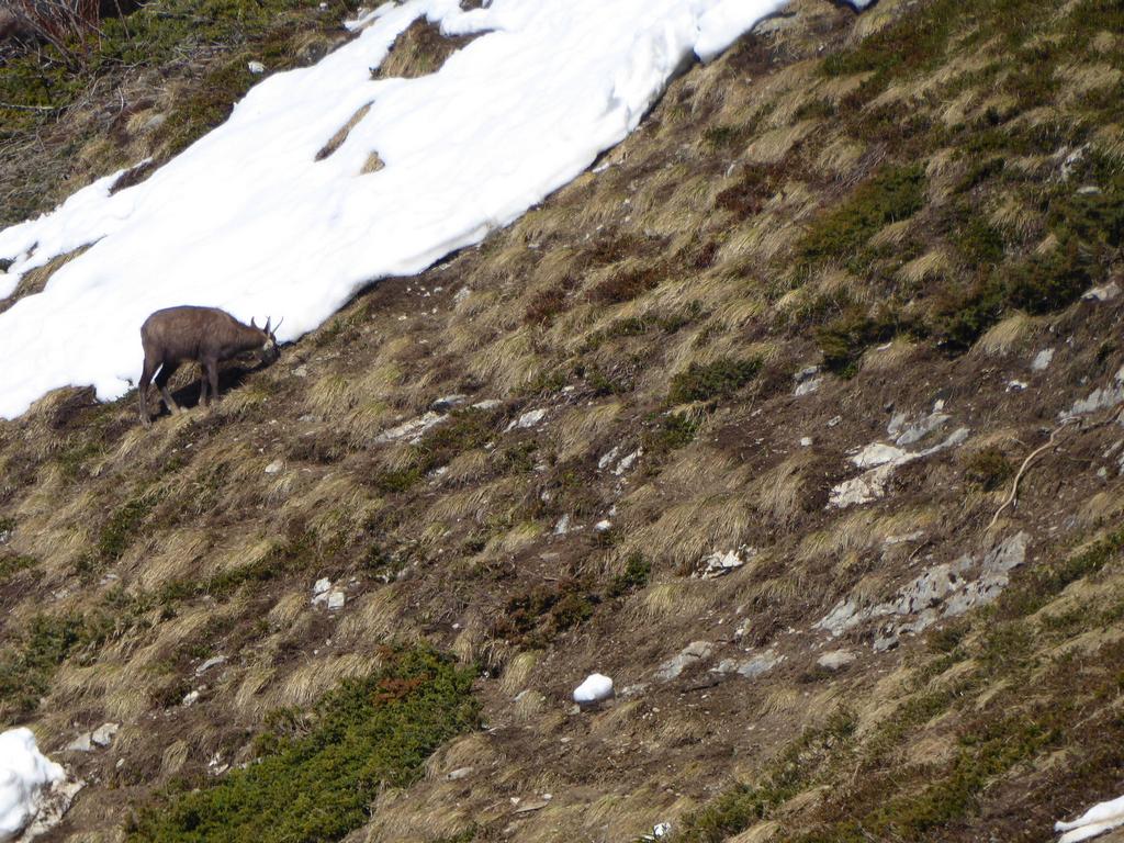 {Clic pour voir plus grand}