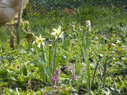 Click to see big picture (1024x768 pixels; 181 KB)