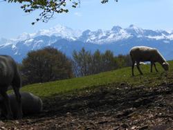 Click to see big picture (1024x768 pixels; 121 KB)