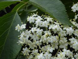 Click to see big picture (1024x768 pixels; 121 KB)