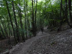 Click to see big picture (1024x768 pixels; 215 KB)