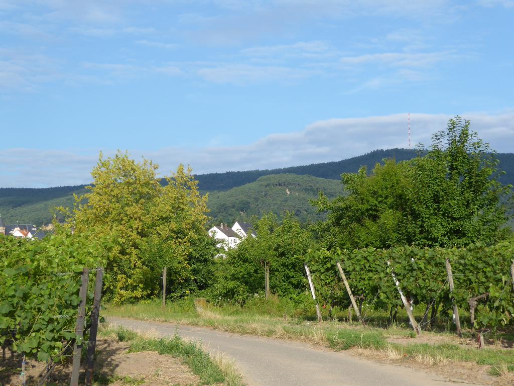 {Clic pour voir plus grand}