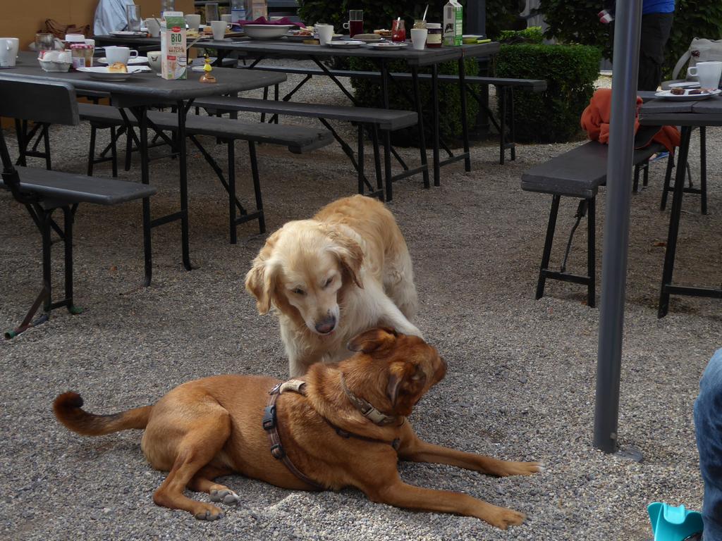 {Clic pour voir plus grand}