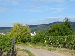 Click to see big picture (1024x768 pixels; 140 KB)