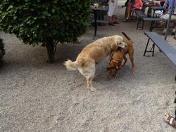 Click to see big picture (1024x768 pixels; 208 KB)