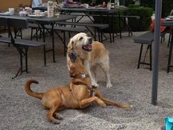 Click to see big picture (1024x768 pixels; 170 KB)