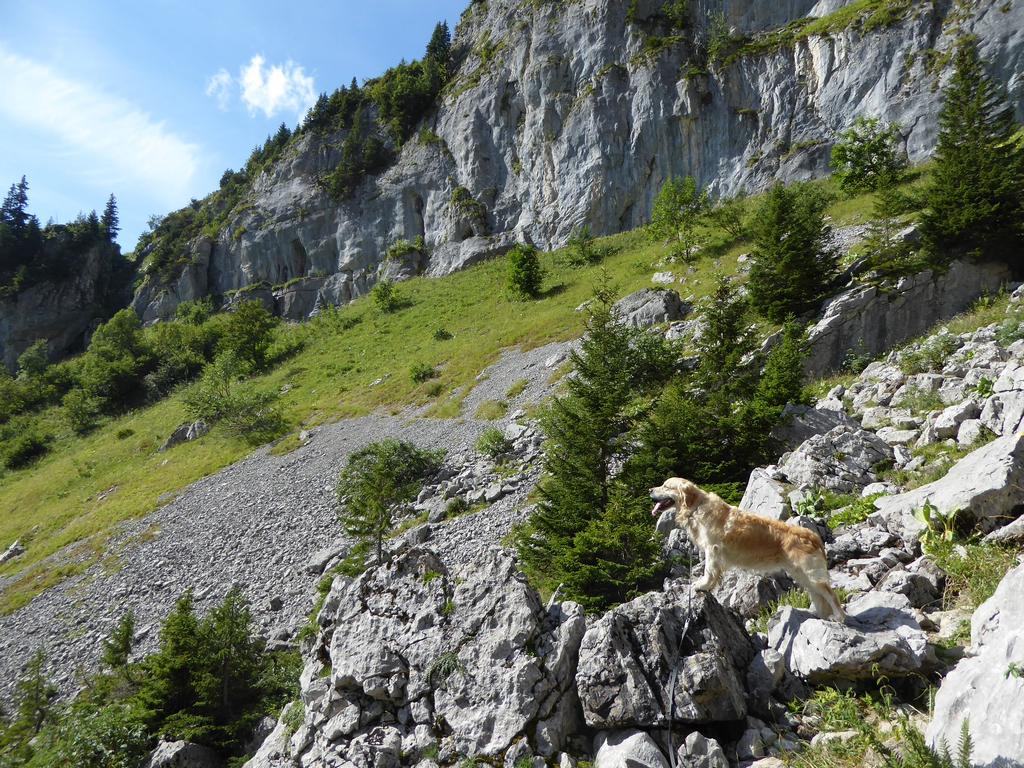 {Clic pour voir plus grand}