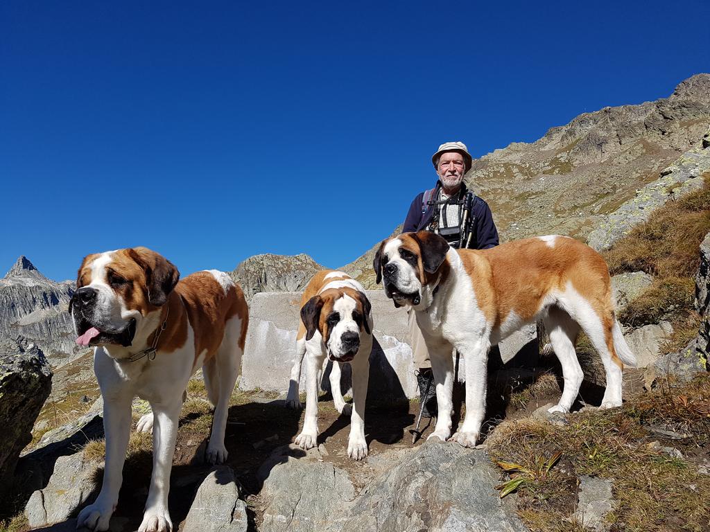 {Clic pour voir plus grand}