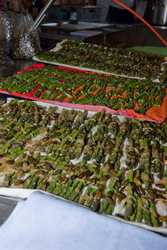 Pour agrandir l'image (514x768 pixels; 104 KB)