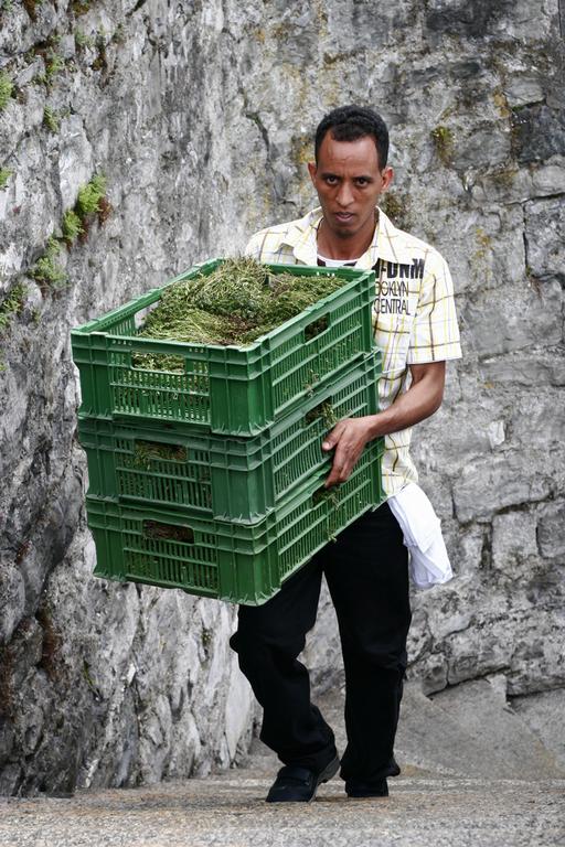 Pour l'image suivante