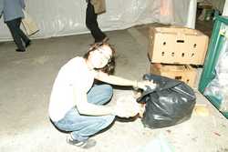 Pour agrandir l'image (1024x683 pixels; 122 KB)