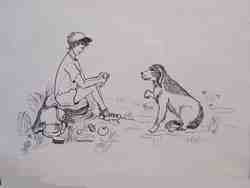 Cliquer pour agrandir l'image (800x600 pixels; 32 KB)