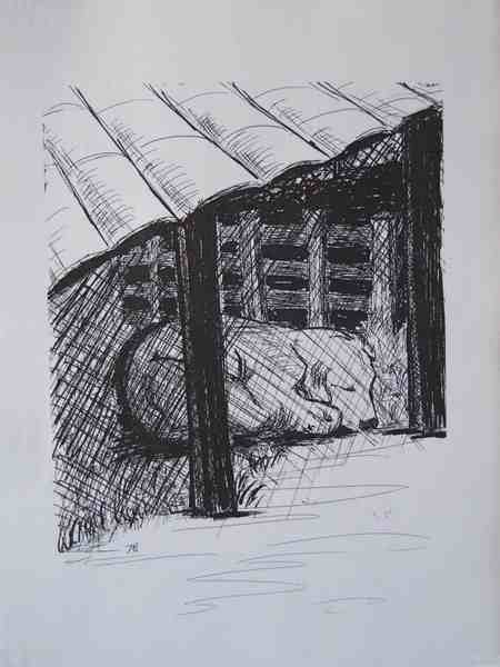 Cliquer pour voir l'image suivante