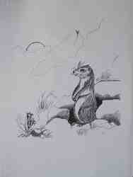 Cliquer pour agrandir l'image (450x600 pixels; 22 KB)