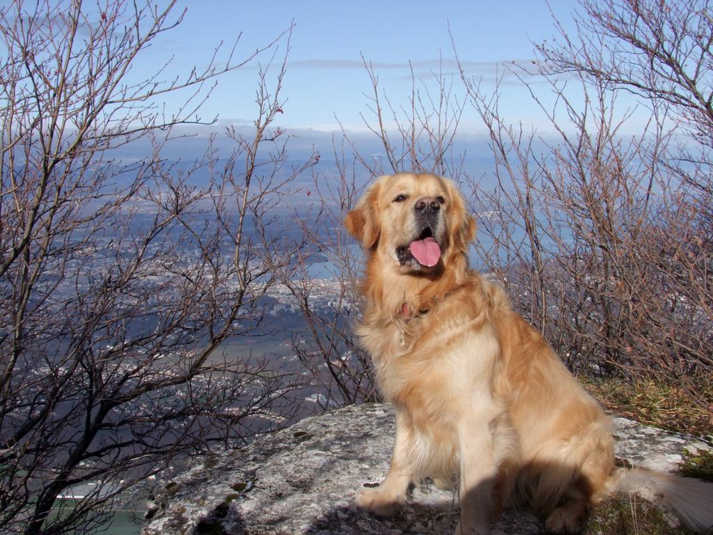 clic ici pour suivante