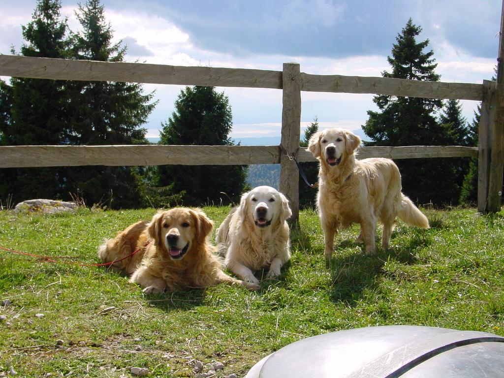 clic ici pour suivante