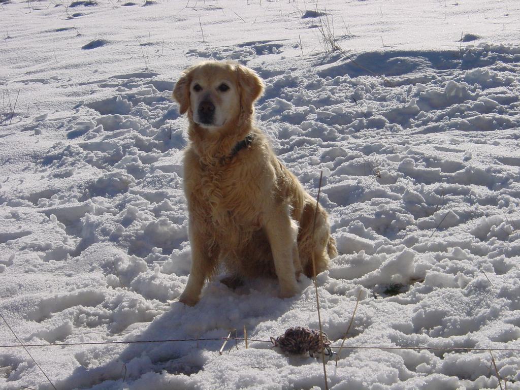 clic ici pour suivante