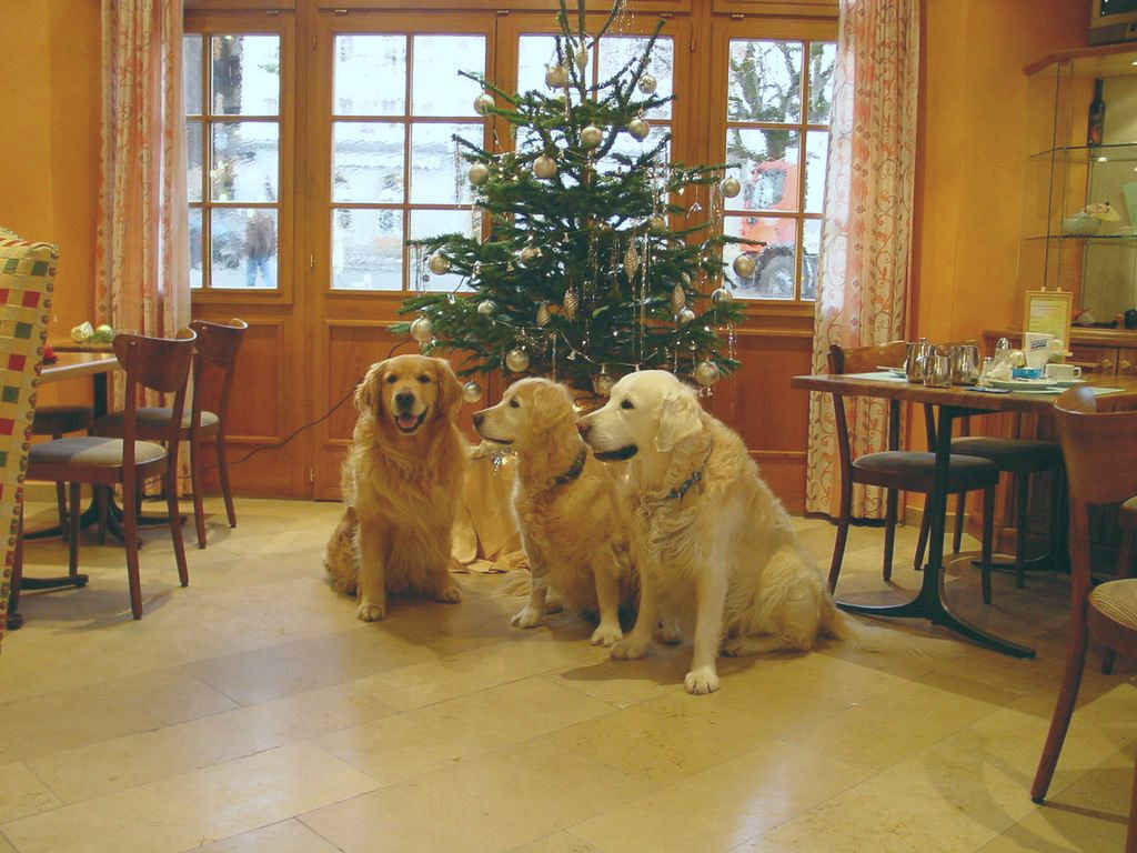 clic ici pour suivante