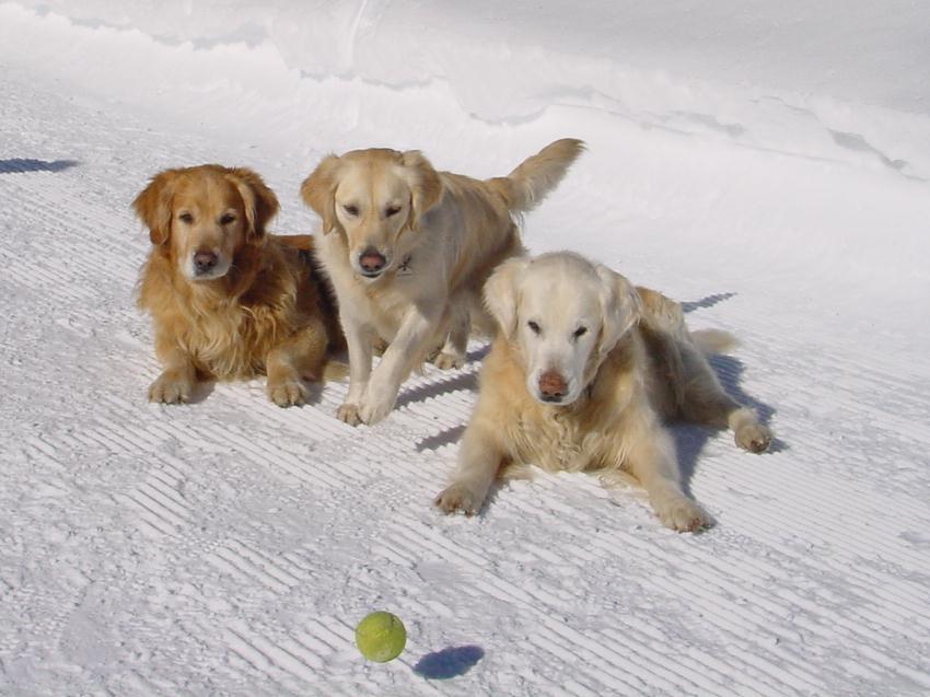 clic ici pour suivante