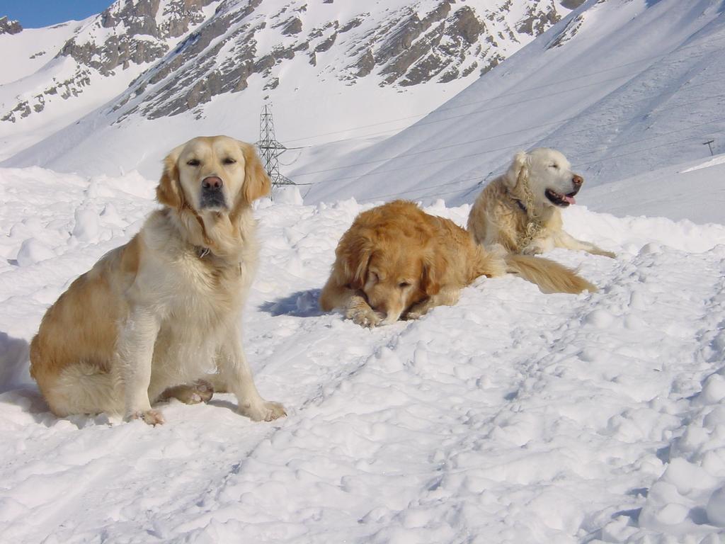 clic ici pour suivante