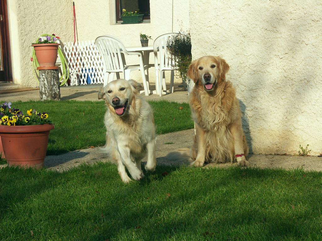 clic ici pour suivante