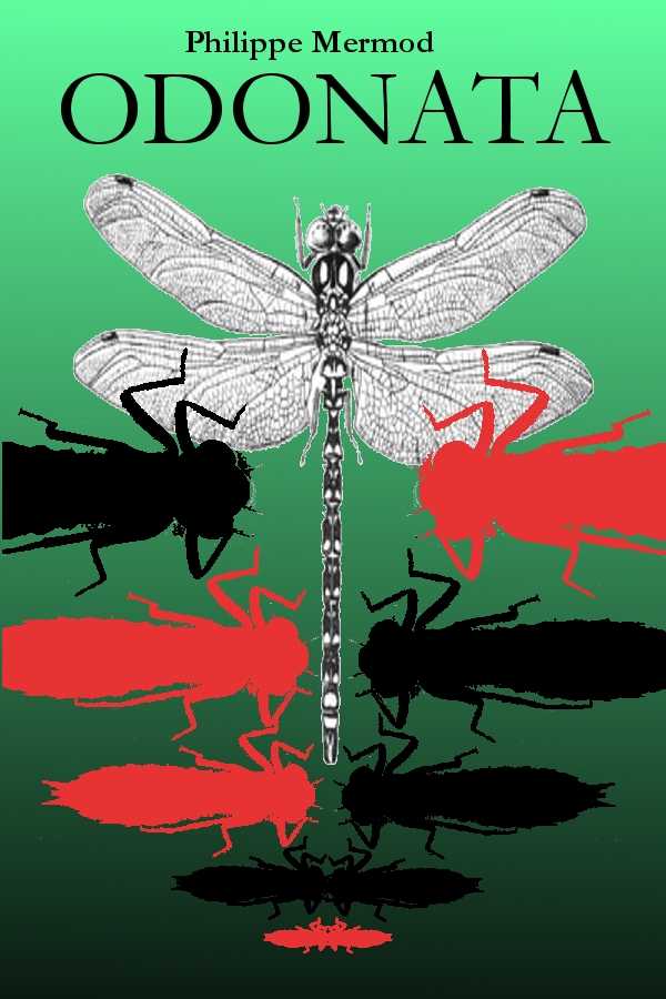 Odonata