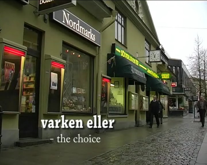 Varken eller