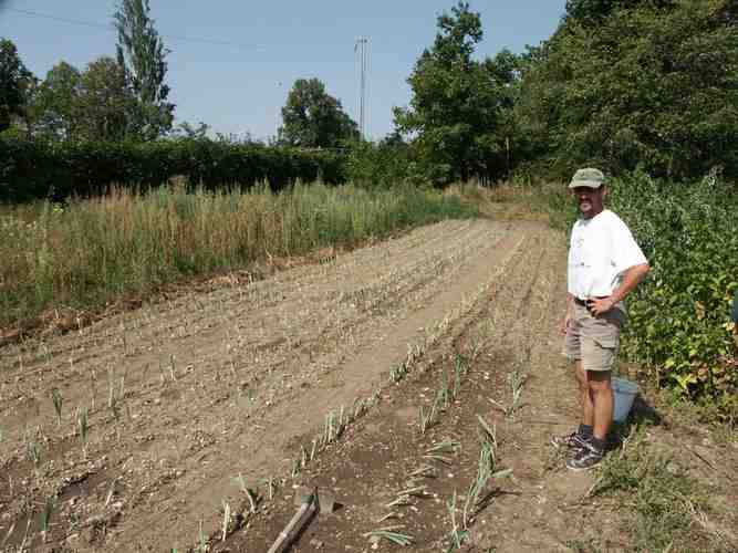 Click to see next picture