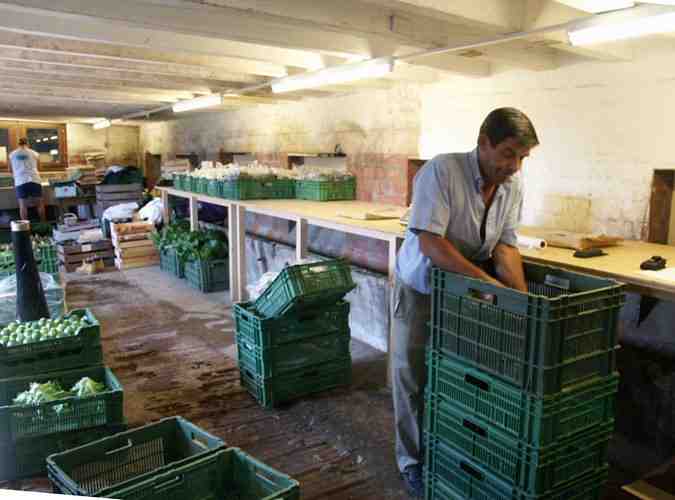 Click to see next picture